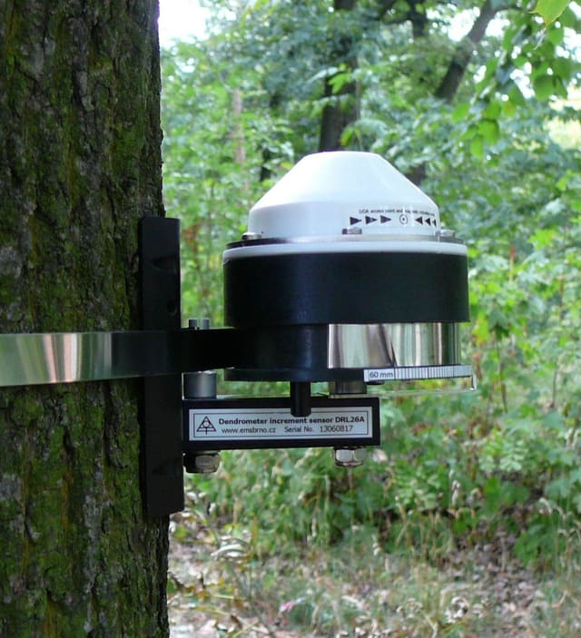 Dendrômetro registrador de crescimento do tronco DRL26C