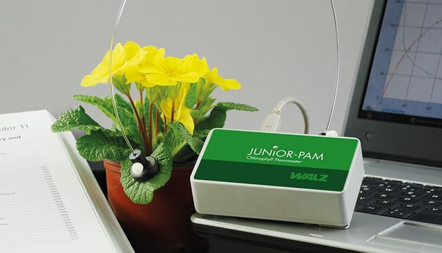 JUNIOR-PAM - Fluorômetro de clorofila para ensino